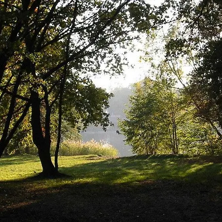 1 - Anett Pollok * Neuruppin